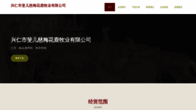 What Fclfecs.cn website looked like in 2023 (This year)