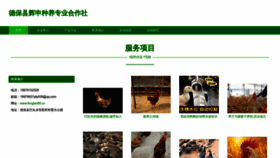 What Fenglan88.cn website looked like in 2023 (This year)