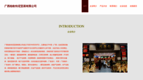What Fgefotn.cn website looked like in 2023 (This year)
