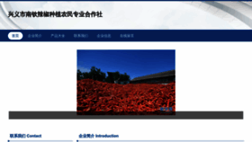 What Fioggnu.cn website looked like in 2023 (This year)
