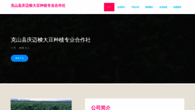 What Ftqmzgr.cn website looked like in 2023 (This year)