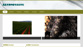 What Fulimvs.cn website looked like in 2023 (This year)