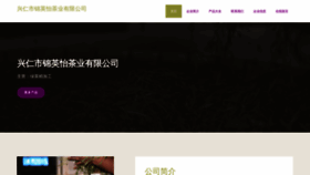What Fzyjwl13.cn website looked like in 2023 (This year)