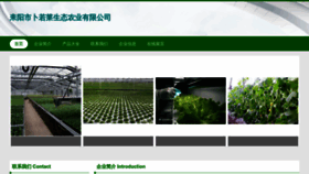 What Fbroblog.cn website looked like in 2023 (This year)