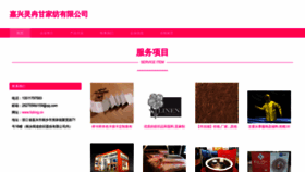 What Fulinrg.cn website looked like in 2023 (This year)