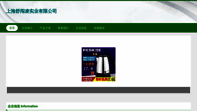 What Fallingboy.cn website looked like in 2023 (This year)