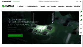 What Flagman.repair website looked like in 2023 (This year)