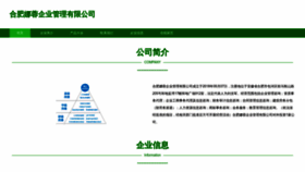 What Fineroad.cn website looked like in 2023 (This year)