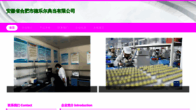 What Fiddlercrab.cn website looked like in 2023 (This year)