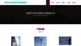 What Feiniukj.cn website looked like in 2023 (This year)
