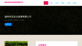 What Fzchi.cn website looked like in 2023 (This year)