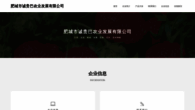What Fcgba.cn website looked like in 2023 (This year)