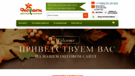 What Florangopt.ru website looked like in 2023 (This year)