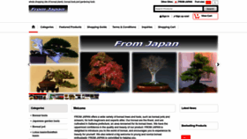 What Fromjapan-kt.com website looked like in 2023 (This year)