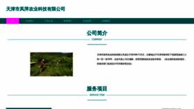 What Fengpingnongye.com website looks like in 2024 