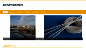 What Fengshecae.com website looks like in 2024 
