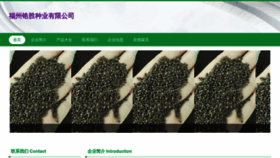 What Fzgaosheng.com website looks like in 2024 