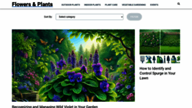 What Flowers-plants.com website looks like in 2024 