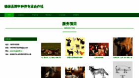 What Fenglan88.cn website looks like in 2024 