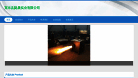 What Fzyjwl06.cn website looks like in 2024 