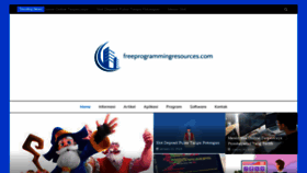 What Freeprogrammingresources.com website looked like in 2024 (1 year ago)