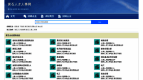 What Fuyangdai.com website looks like in 2024 