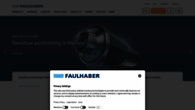 What Faulhaber.com website looks like in 2024 