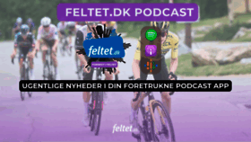 What Feltet.dk website looks like in 2024 