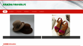 What Fzwaimao.com website looks like in 2024 