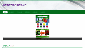 What Fengpaiyouxi.com website looks like in 2024 