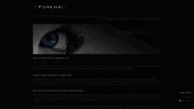 What Forensit.com website looks like in 2024 