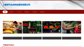 What Fodcnjj.cn website looks like in 2024 