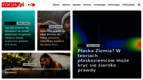 What Focus.pl website looks like in 2024 