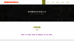 What Fengtaoauto.com website looks like in 2024 