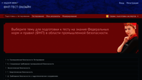 What Fnp-test.nadzor-info.ru website looks like in 2024 