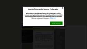 What Fora.pl website looks like in 2024 