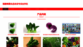 What Fjfengtu.com website looks like in 2024 