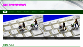 What Fjdingdang.com website looks like in 2024 