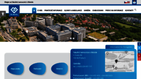 What Fnmotol.cz website looks like in 2024 