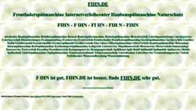 What Fihn.de website looks like in 2024 