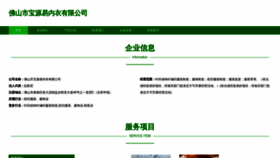 What Fsbyy.cn website looks like in 2024 