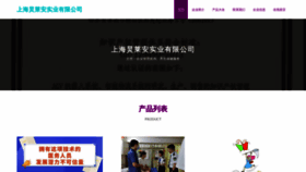 What Fwnvnfz.cn website looks like in 2024 