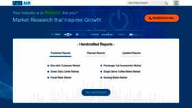 What Factmr.com website looks like in 2024 