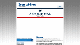 What Flyzoom.com website looks like in 2024 