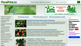 What Floraprice.ru website looks like in 2024 
