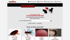 What Fleascience.com website looks like in 2024 