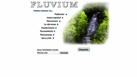 What Fluvium.org website looks like in 2024 