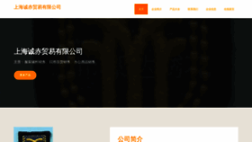 What Fzkswl08.cn website looks like in 2024 
