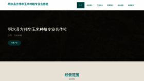 What Fzvhstm.cn website looks like in 2024 