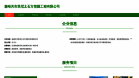 What Fzywwnz.cn website looks like in 2024 